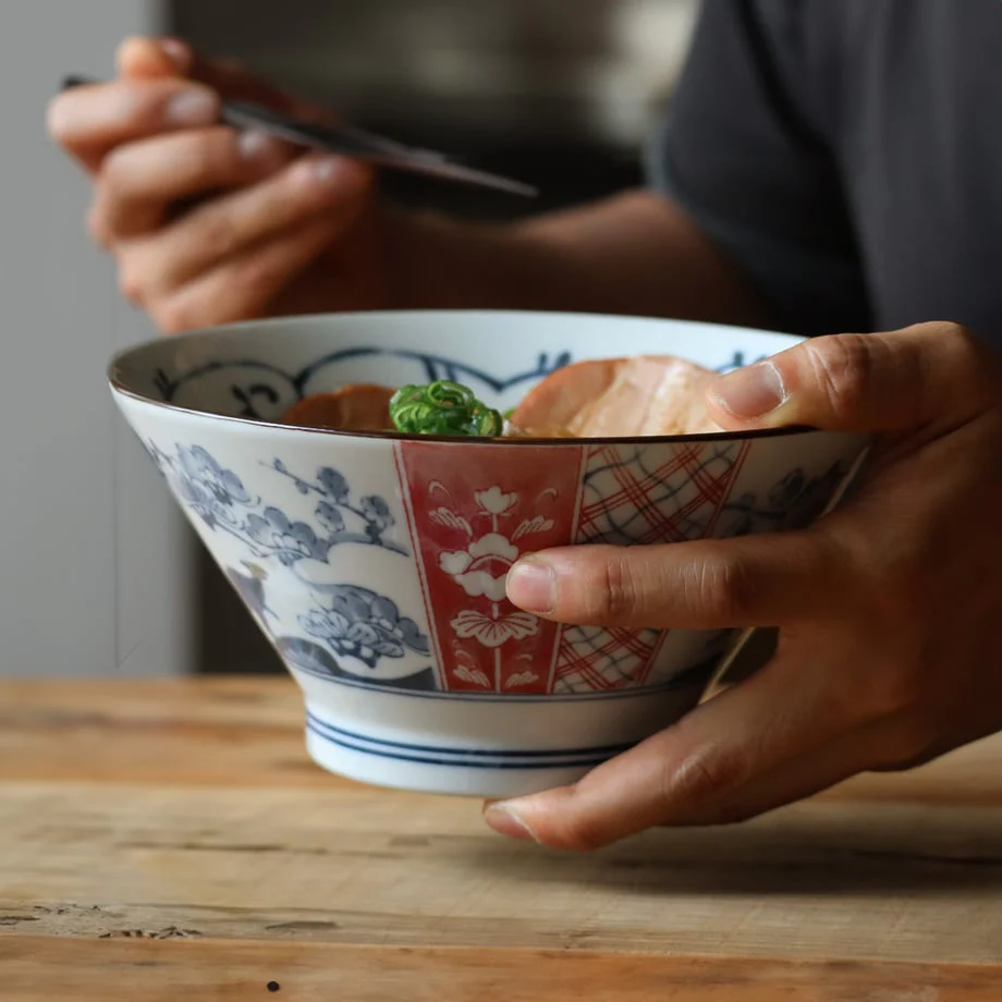 Edokko Dinosaur Donburi Bowl 19D - Image 8