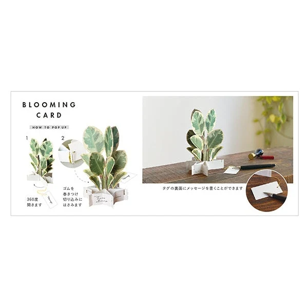 Greeting Life Banyan Tree Pop-up Card - Image 3