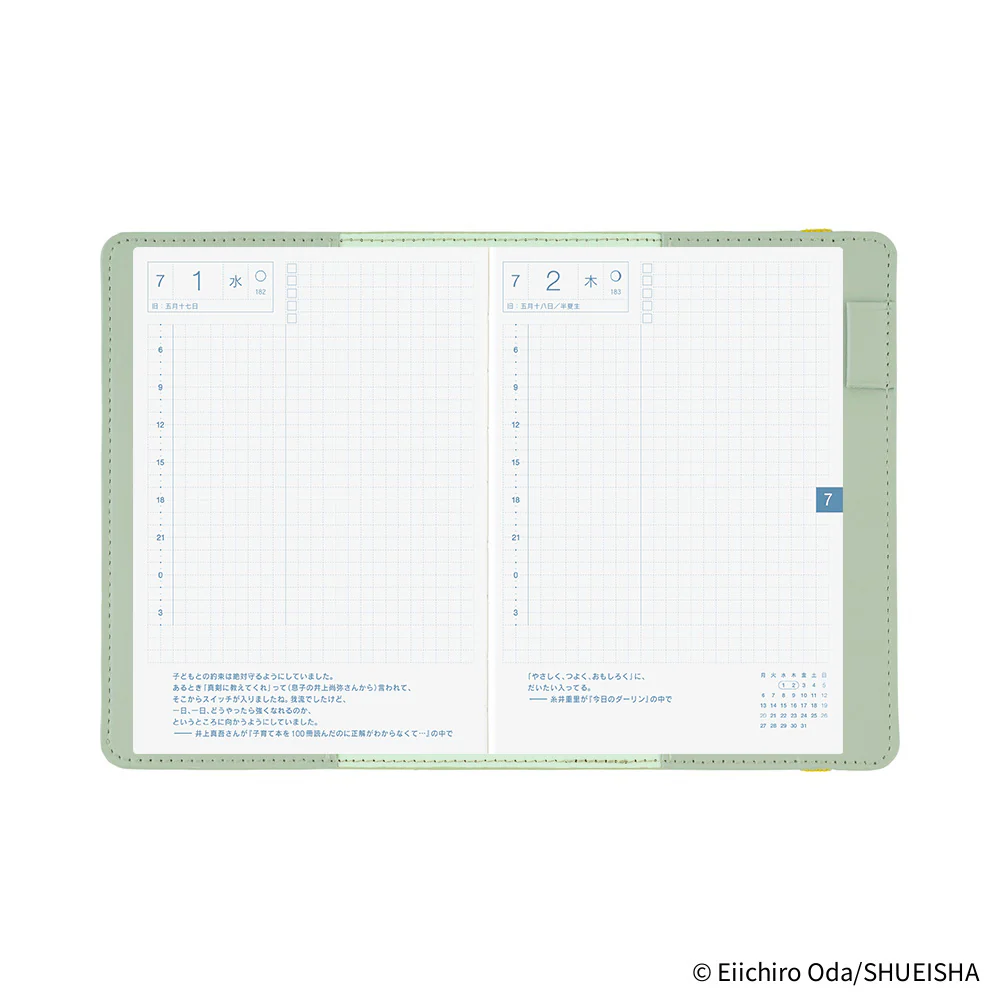 Hobonichi Techo A6 Original Planner Cover - ONE PIECE magazine: End of Luffy’s Dream (Mint Green) - Image 5