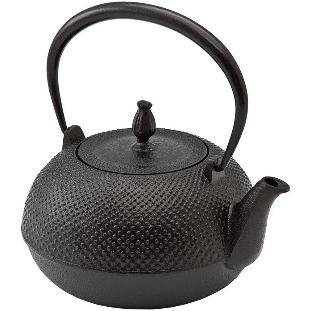 Ikenaga Tekki Nozomi Cast Iron Teapot IH 1.4L