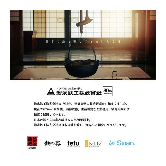 Ikenaga Tekki Nozomi Cast Iron Teapot IH 1.4L - Image 3