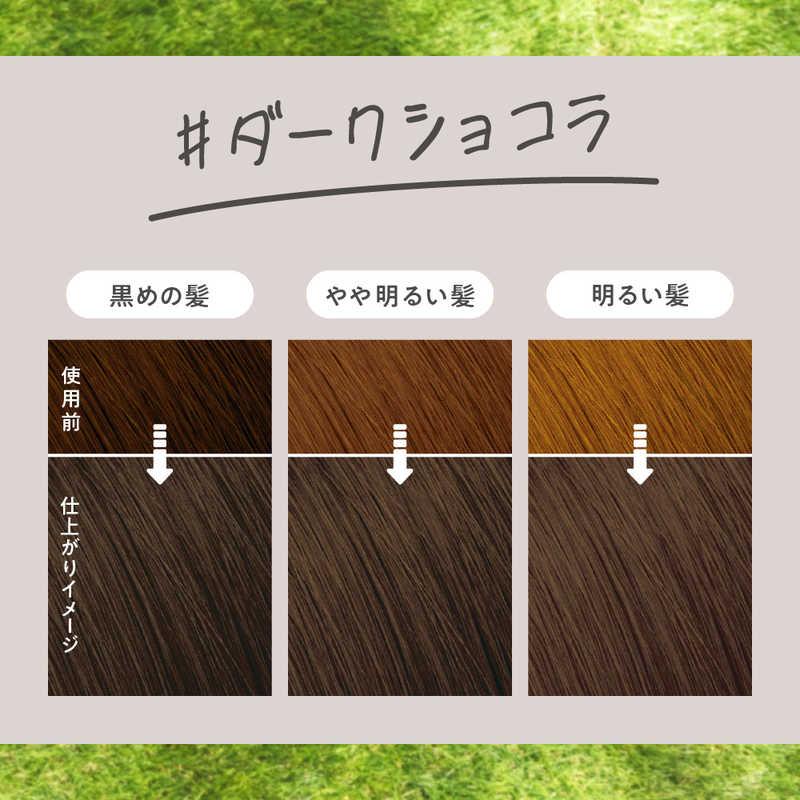 Kao Liese Creamy Bubble Colour Hair Dye - Dark Chocolat - Image 4