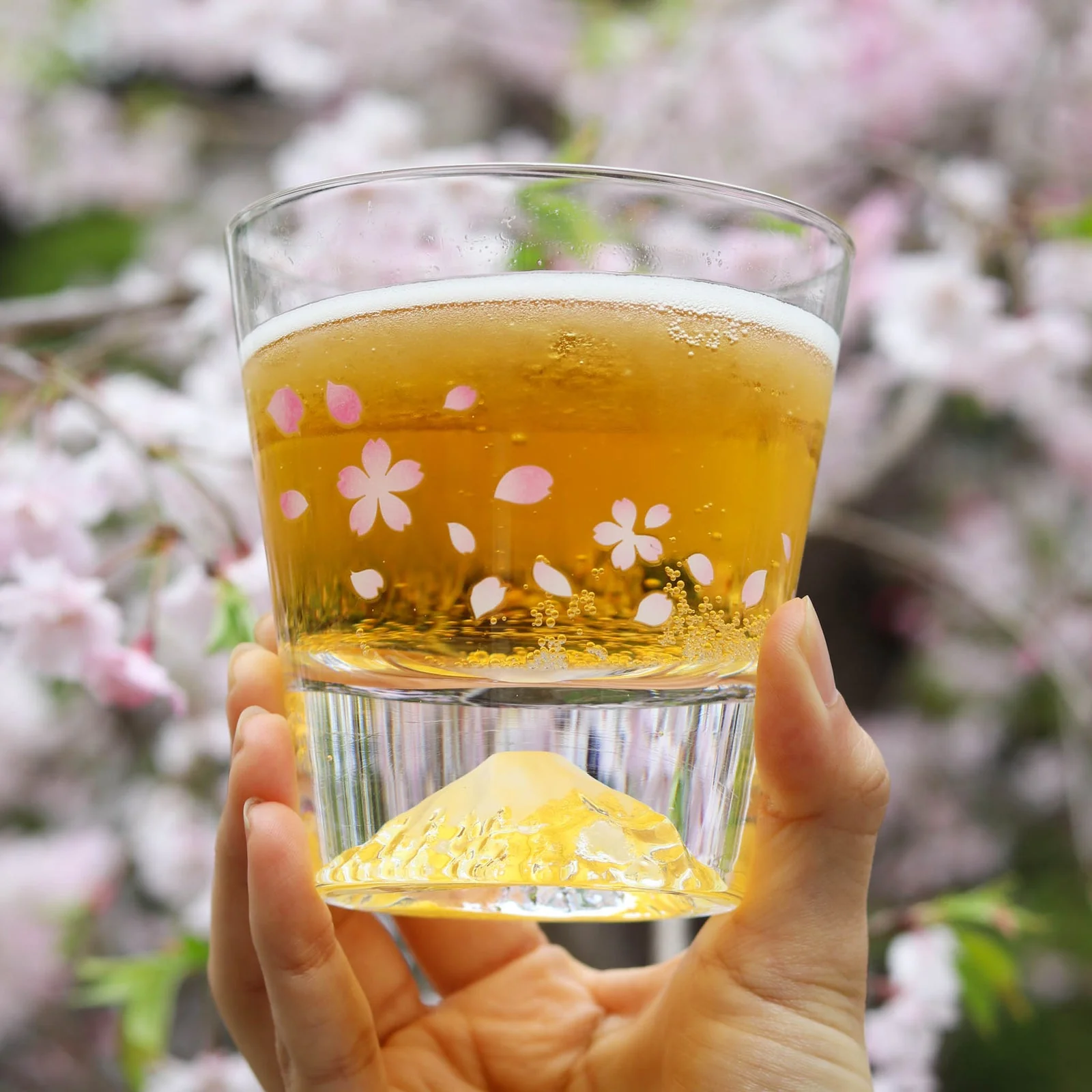 Marumo Takagi Colour Changing Sakura Fuji Rock Glass 270ml - Image 5