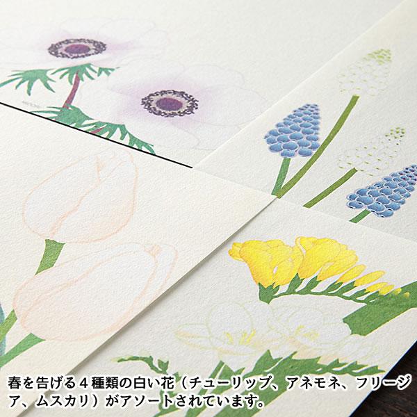 Midori Kami Letter Paper - Spring Flowers - Image 8