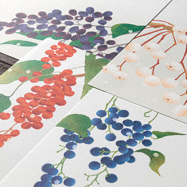 Midori Kami Letter Set Winter Harvest Berries - Image 6