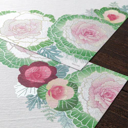 Midori Kami Letter Set Ornamental Kale - Image 4