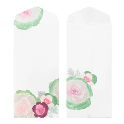 Midori Kami Letter Set Ornamental Kale - Image 6