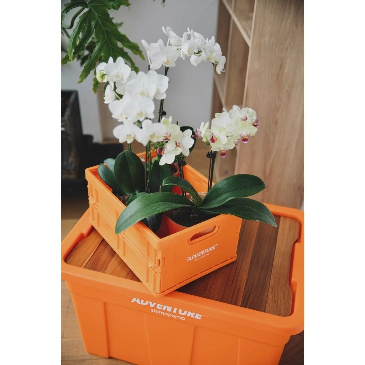 Shimoyama ADV Foldable Storage Crate 12L - Image 17