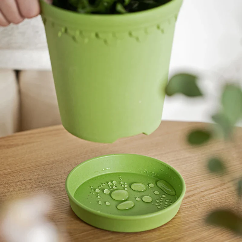 Shimoyama Vintage Flower Pot Saucer - Image 6