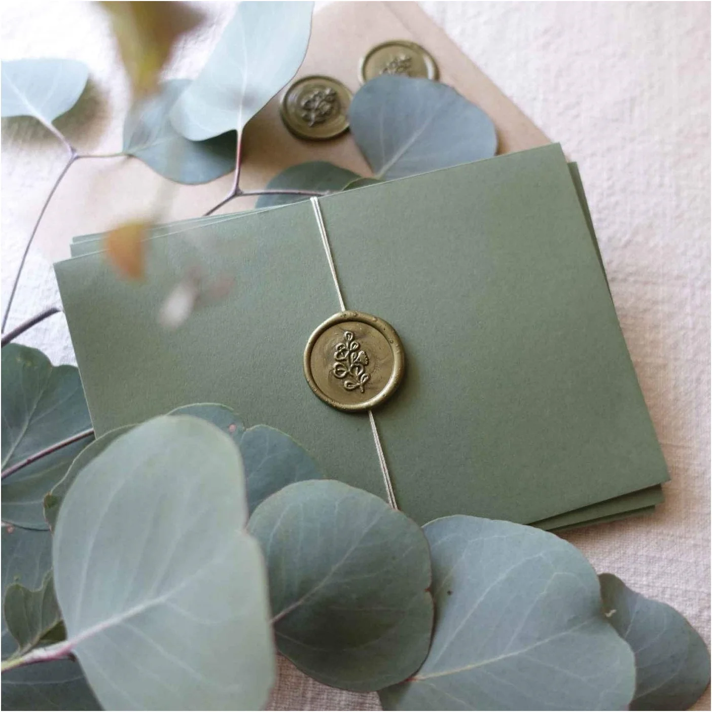 Fiona Ariva Wax Sealing Kit - Image 5